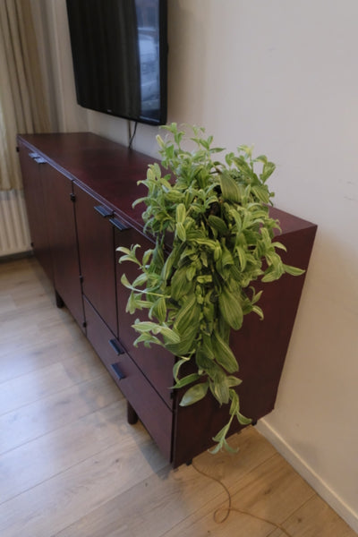 Groot Donkerrood Houten Dressoir - RELIVING