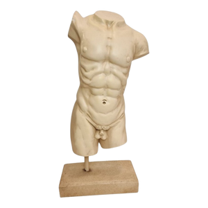 Mannelijke Torso