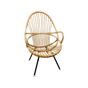 Rotan Fauteuil Met Armleuningen, Rohé Noordwolde