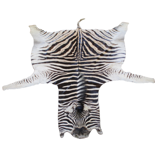 Zebravacht